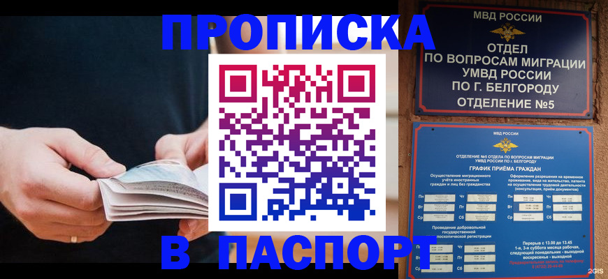 прописка иностранных граждан в Жердевке